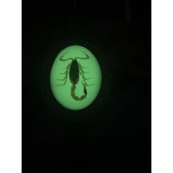 SCORPION BIRTHDAY DAD Silver Lariat Bolo Tie Western GLOW IN DARK LEATHER FATHER - Picture 4 of 14